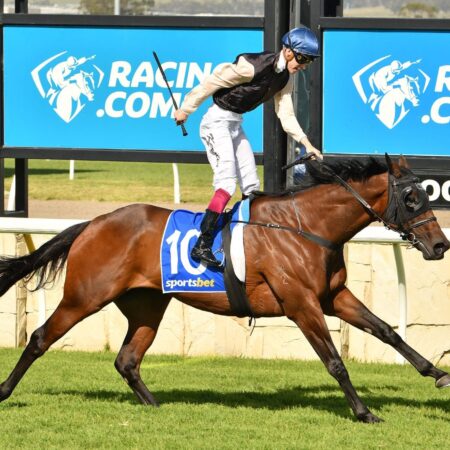 Melbourne Cup an option for Kiwi mare Etah James