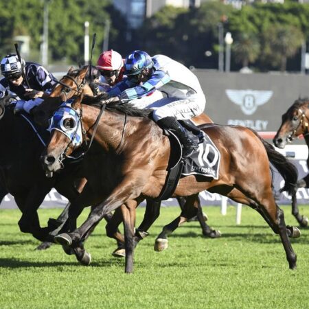 Muollo upbeat ahead of Melbourne Cup