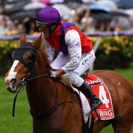 Who won the 2005 Melbourne Cup?