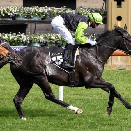 What horse colours have the most Melbourne Cup wins?
