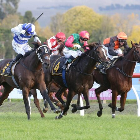 Marsh aiming to live Cup dream