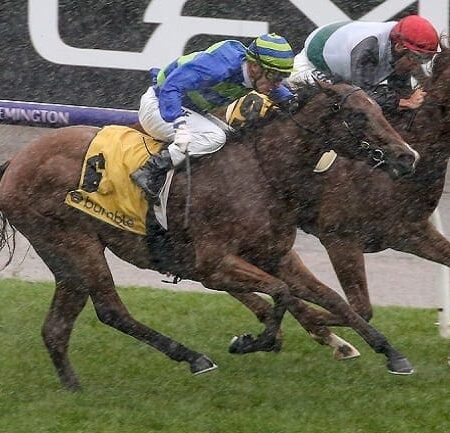 Melbourne Cup to be run on a heavy track