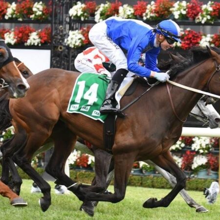 Oceanex takes shot at Melbourne Cup berth