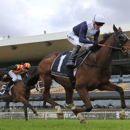 Sweet Thomas after Flemington Cup 1849 win