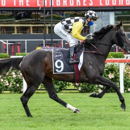 Hotham Runners In Race For Final Cup Spot