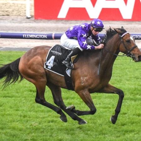 Chapada aims for Caulfield Cup start at Mornington