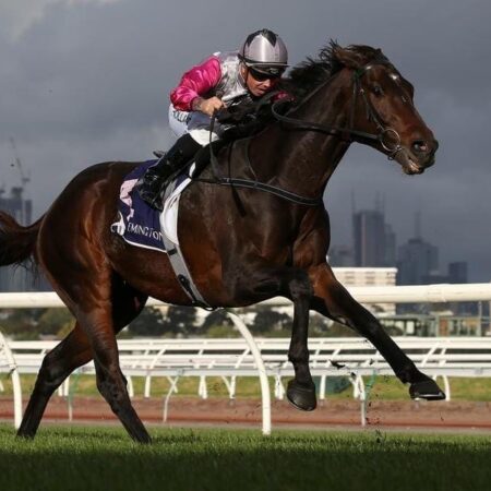 Surprise Baby set for latest Cup entry bid