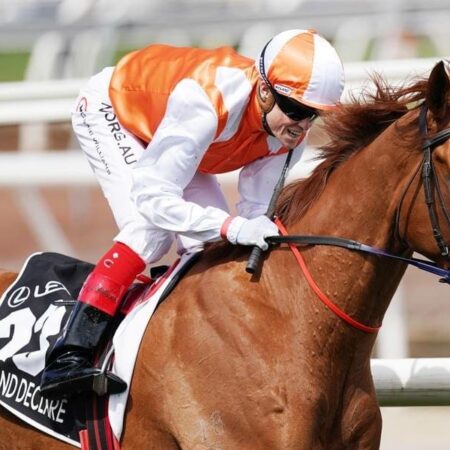 Flemington assignment for Vow And Declare