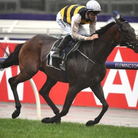 Downdraft claims berth in Melbourne Cup