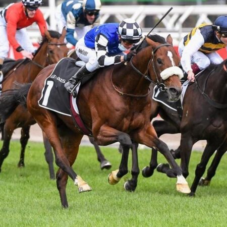 Ashrun Races His Way Into Melb Cup Field