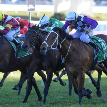 Lexus option for Bendigo Cup scratching