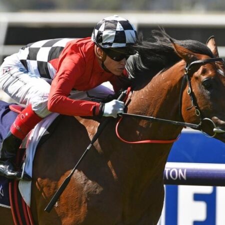 Schabau set for race return after injury