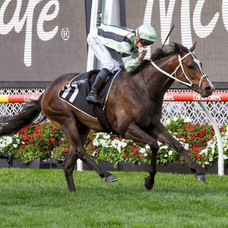 Waller withdraws Francesco Guardi from Geelong Cup