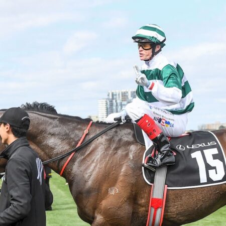 Future History earns golden ticket into 2023 Melbourne Cup