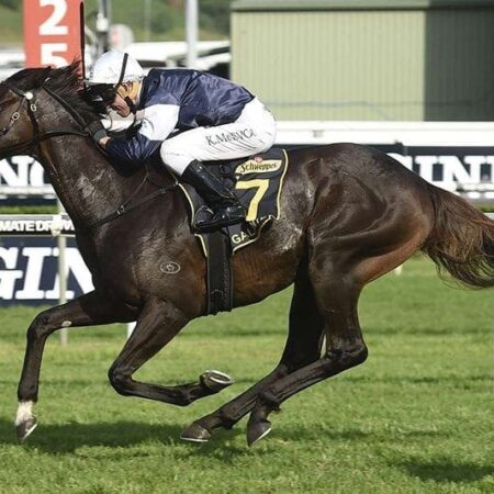 Sydney Cup winner to join Team Rogerson