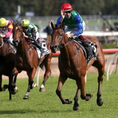 Top mare Bonneval enjoys a day out