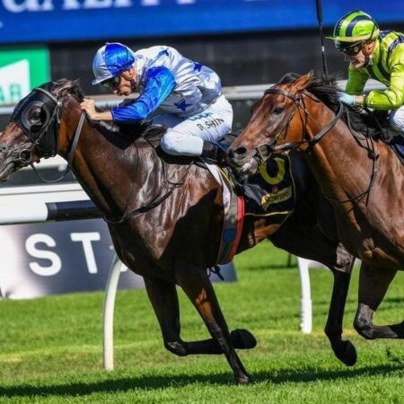 Sir Charles Road preparing for Melb Cup