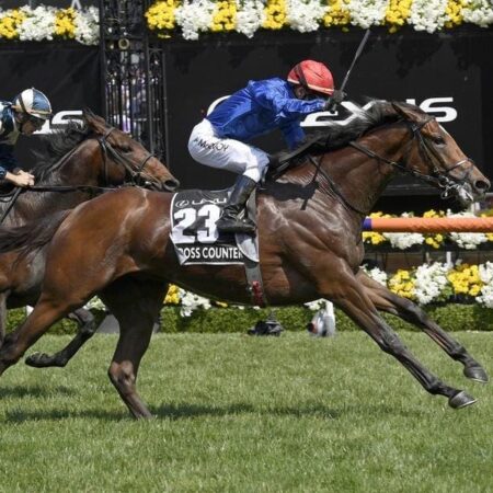 Appleby eyes second Melbourne Cup success