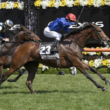 Kew Gardens heads Melbourne Cup weights