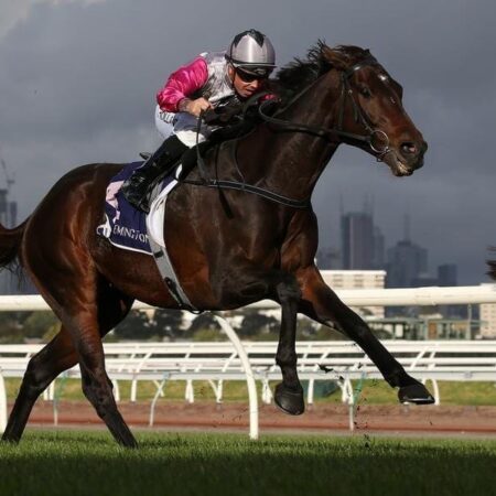 Cup place up for grabs in Bart Cummings