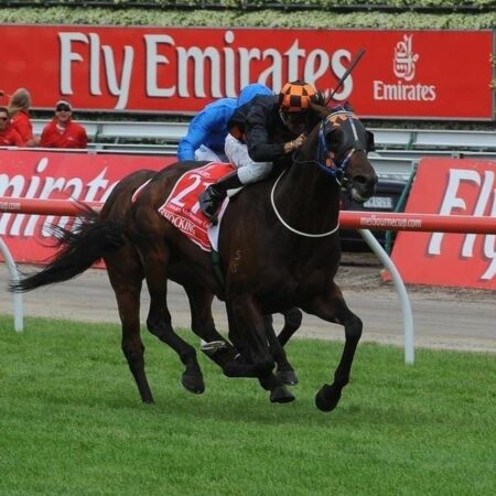VRC keen for a local win in Melbourne Cup