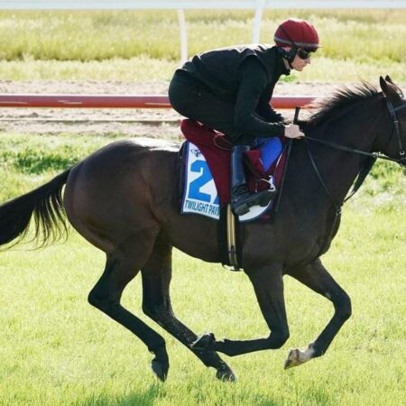 Spring doubt on Australian-owned Curragh winners