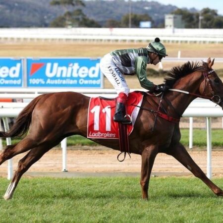 Order of entries for spring Cups released