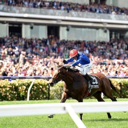 Cross Counter nominated for Cups