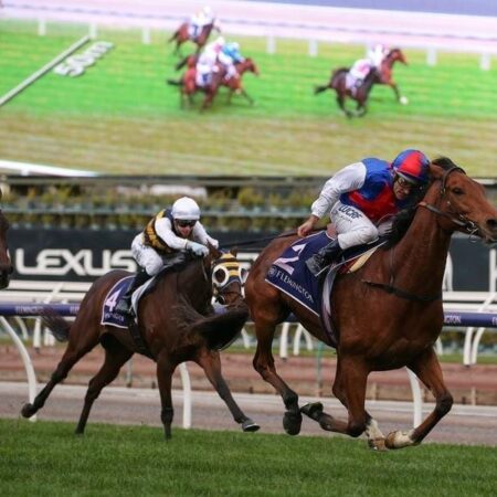 Prince among local hopes for Cup glory