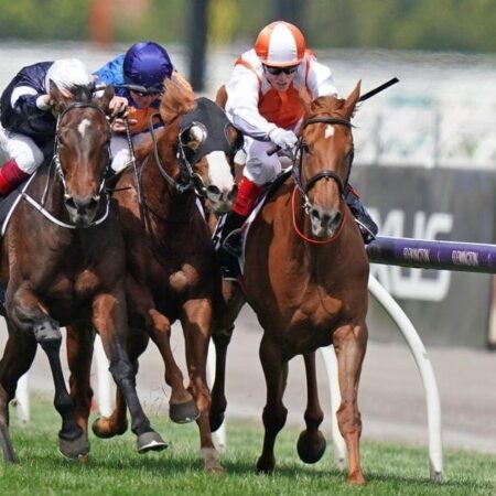What sex horse usually wins the Melbourne Cup?