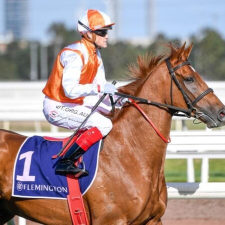 O’Brien to give Cup winner a winter break