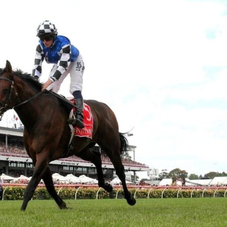 Melbourne-bound Mustajeer wins Ebor