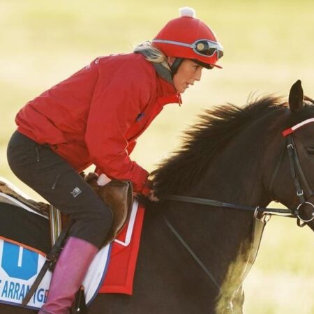 Field of 11 for Group Three Geelong Cup