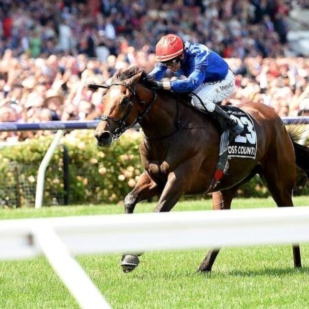 Which online bookmaker has the best Melbourne Cup odds?