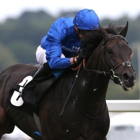 Hamada to be set for Melbourne Cup