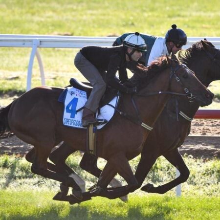 Lindsay Park pair get big tick of approval