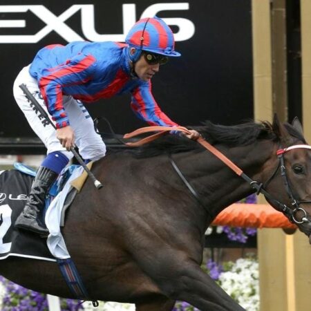 Spring contenders enter quarantine in UK