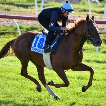 Melb Cup back on the agenda for Red Verdon