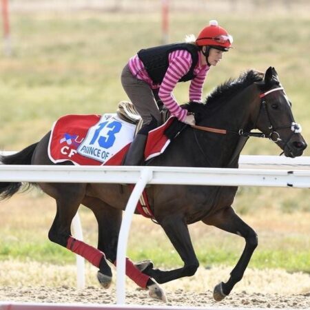 Last-ditch Cup bid for A Prince Of Arran