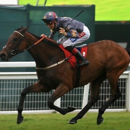Magic Circle could add Gold Cup to program