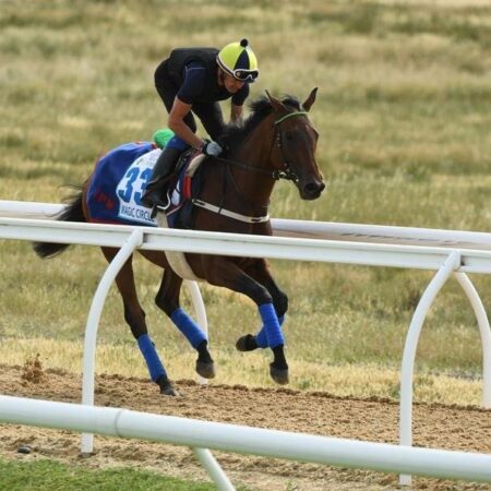No Melbourne Cup for Magic Circle