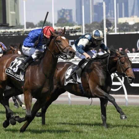 Marmelo wins Prix Kergolay in France