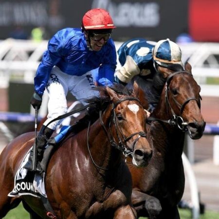 Marmelo to miss Irish St Leger