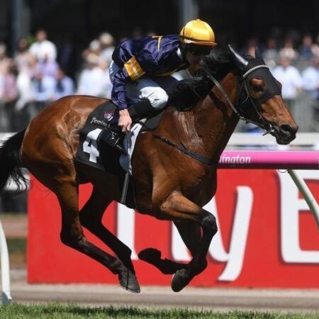 Light autumn planned for Vengeur Masque
