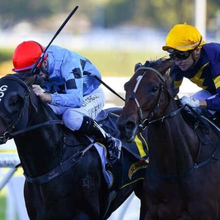 Moroney to welcome back spring hopefuls