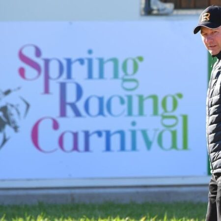 Quarter share in Mustajeer up for auction
