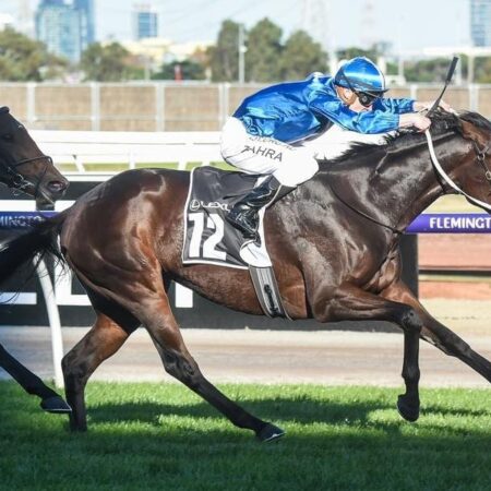 Oceanex starts build-up to Melbourne Cup