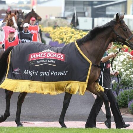 Might And Power dies aged 26