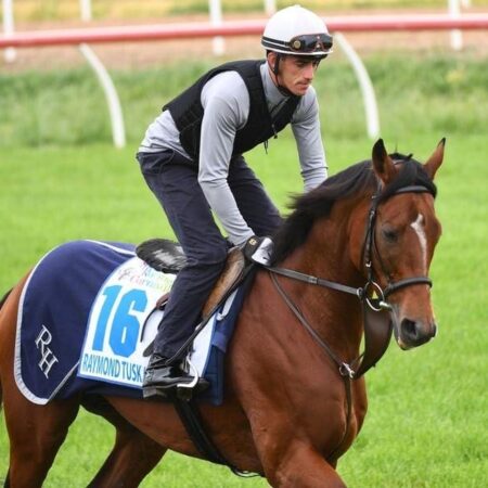 Raymond Tusk a winner at Newcastle