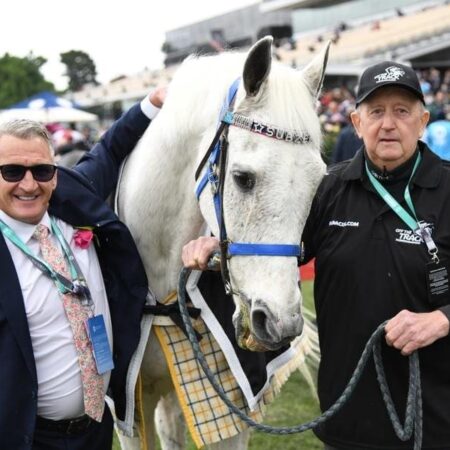 Legendary Melb Cup winner Subzero dies